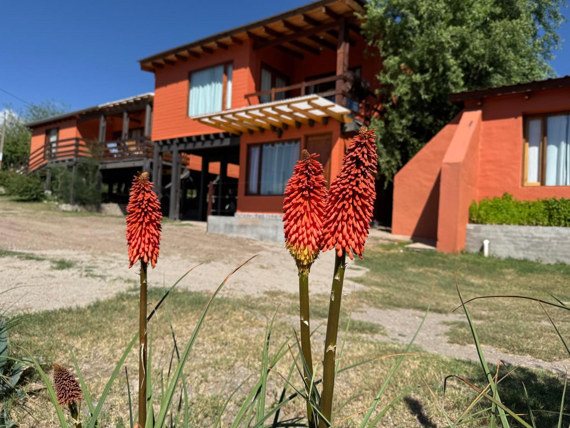 Cabana El Churqui Тафи-дель-Валье Экстерьер фото